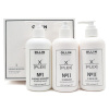 392125 OLLIN  X-PLEX НАБОР№1 X-Bond Booster Активатор связей 1х250мл; №2 X-Sealer Усилитель связей 2х250мл